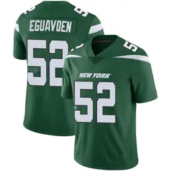 Nike Sam Eguavoen New York Jets Youth Limited Gotham Green Vapor Jersey